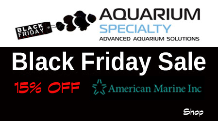 black friday aquarium