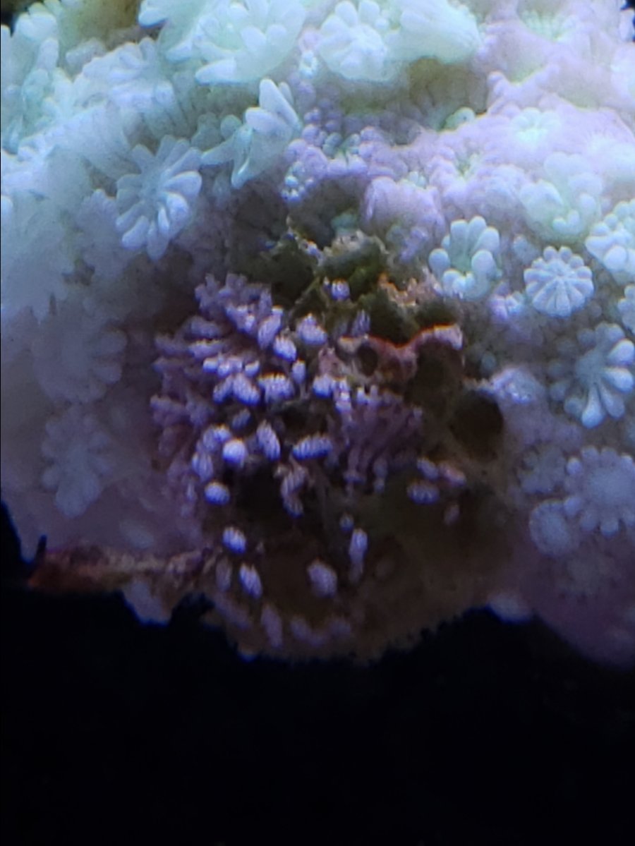20190101_141302.jpg