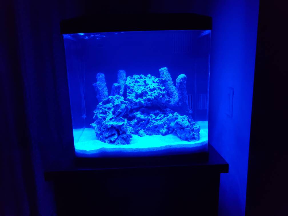 20190101_232237.jpeg