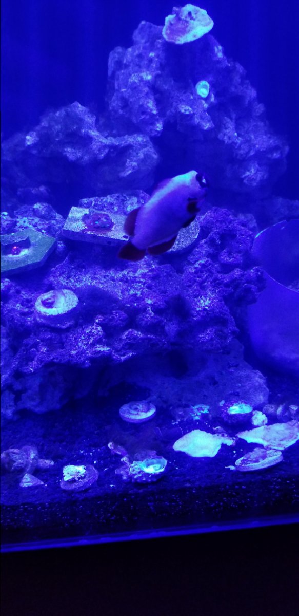 20190102_201013.jpg