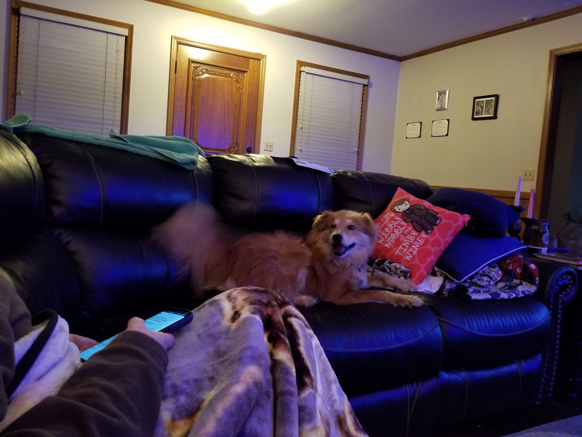 20190104_201355.jpg