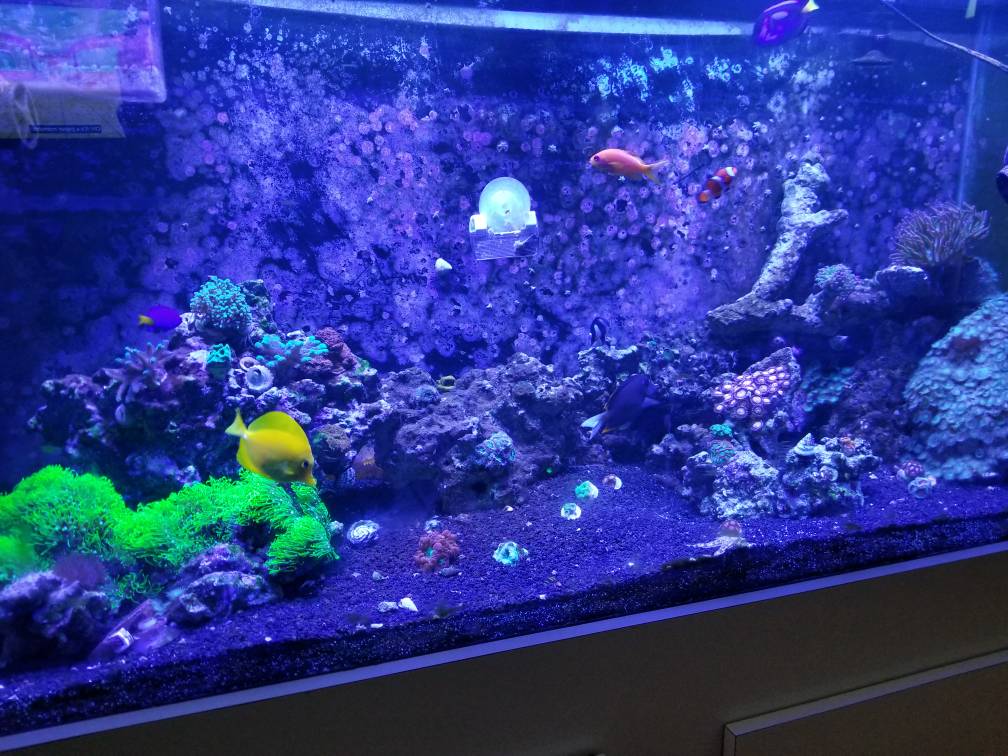 20190105_115913.jpeg