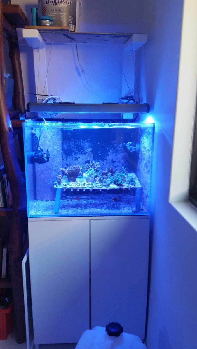 20190105_182003.jpg