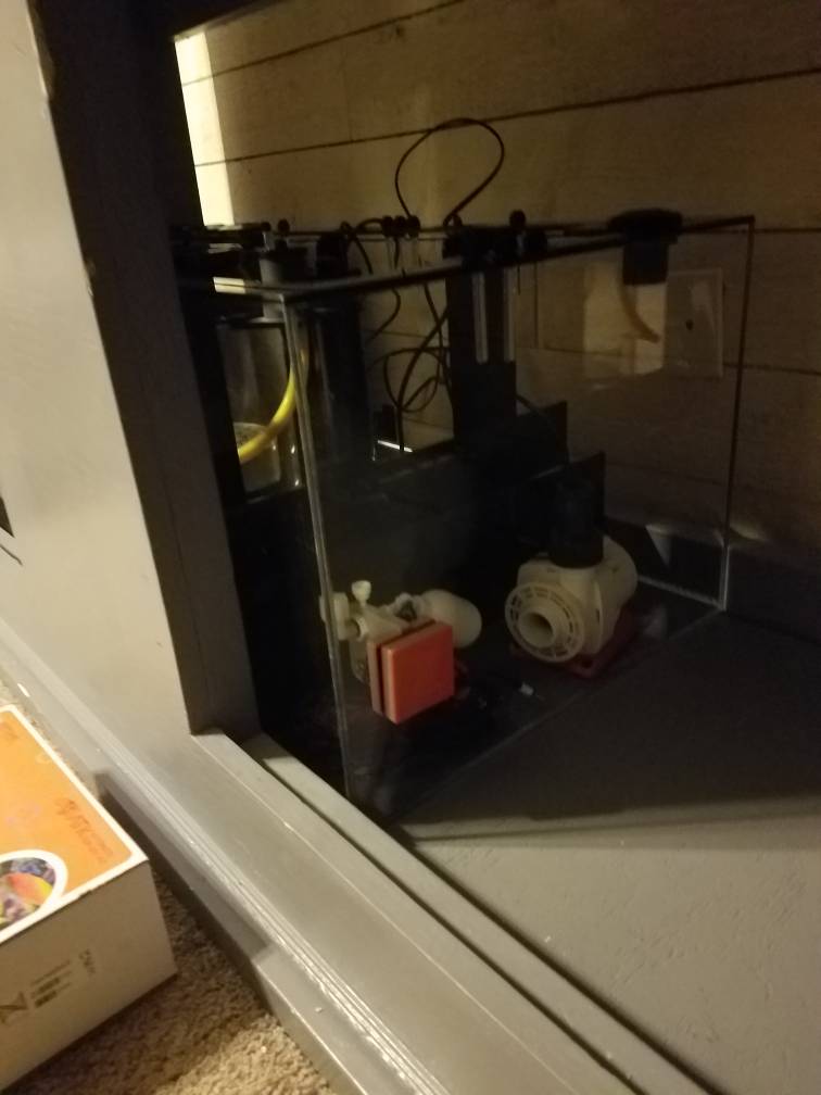 20190105_203440.jpeg