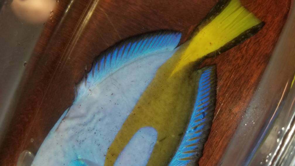 20190105_230500.jpeg