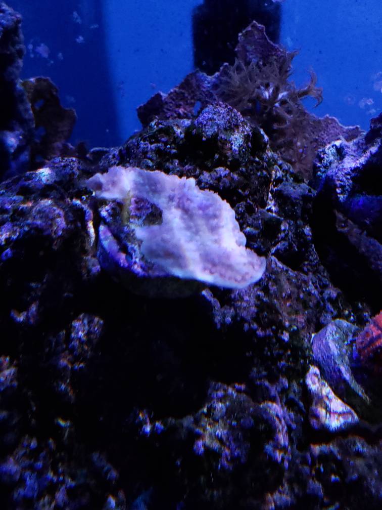 20190106_120306.jpeg