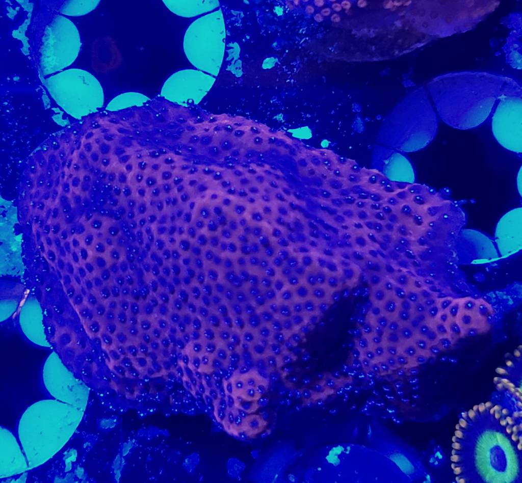 20190106_130817.jpeg