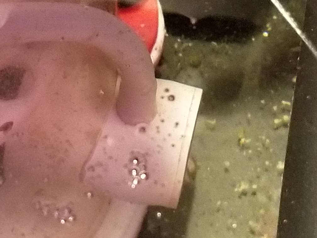 20190106_202654.jpeg