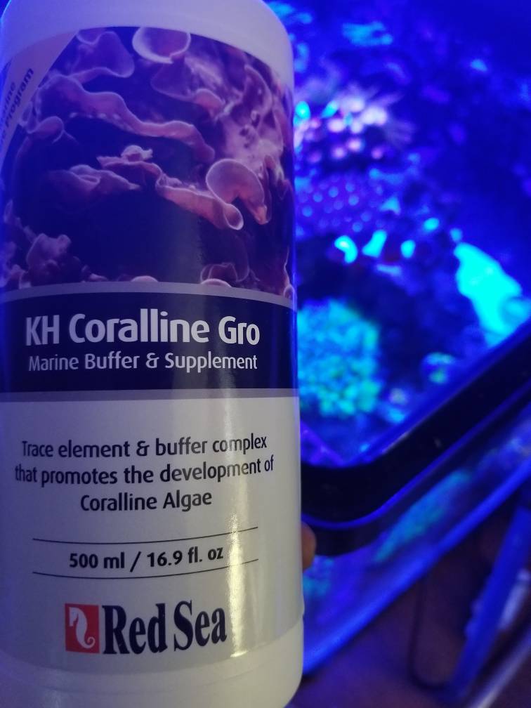 20190107_121724.jpeg