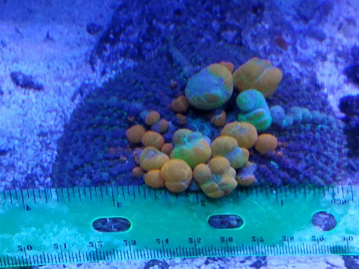 20190113_134643.jpg