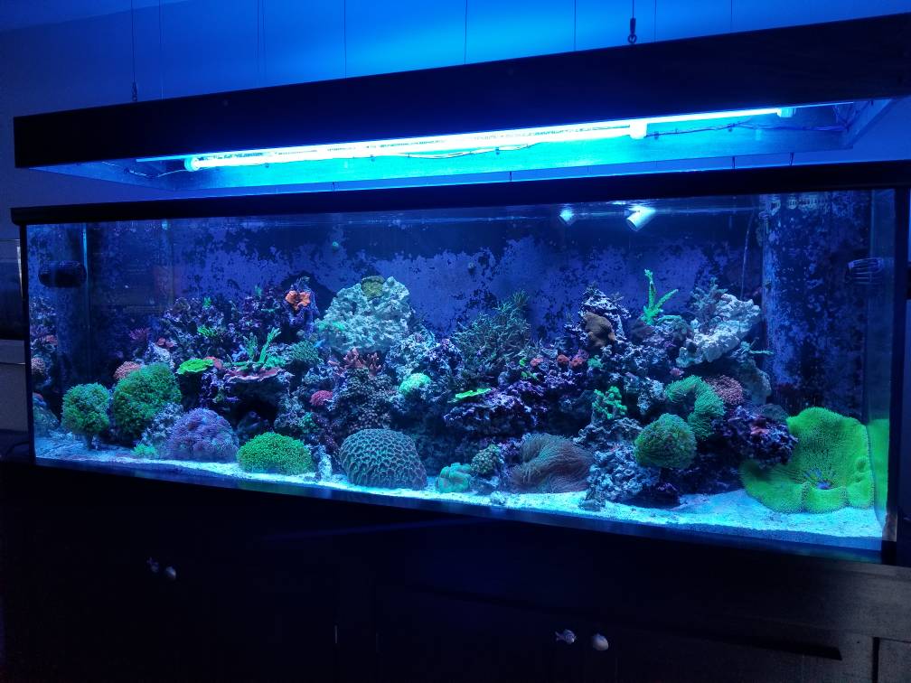 20190113_142154.jpeg