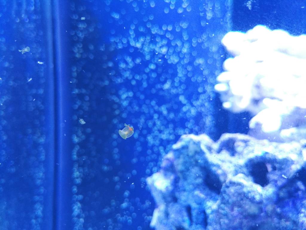 20190116_170137.jpeg