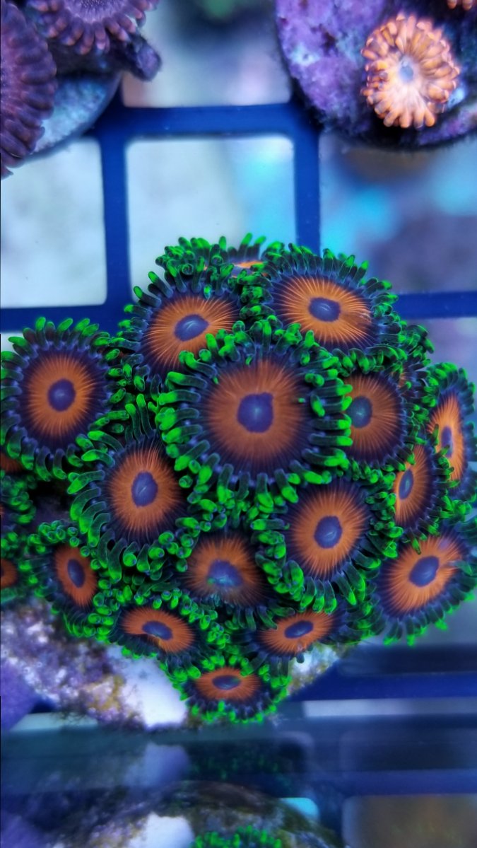 20190116_185950.jpg