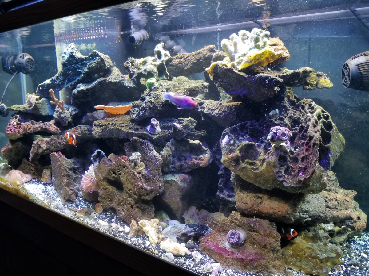 20190117_104357.jpg