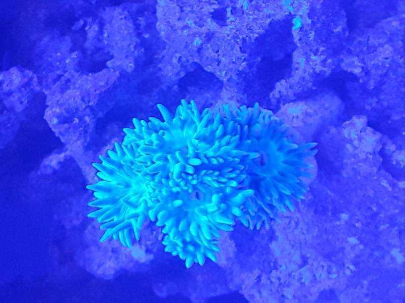 20190117_234007.jpeg