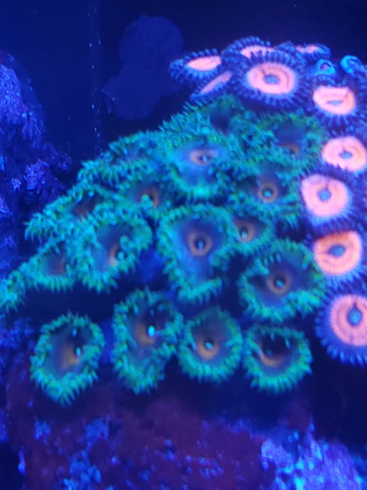 20190120_205653.jpeg