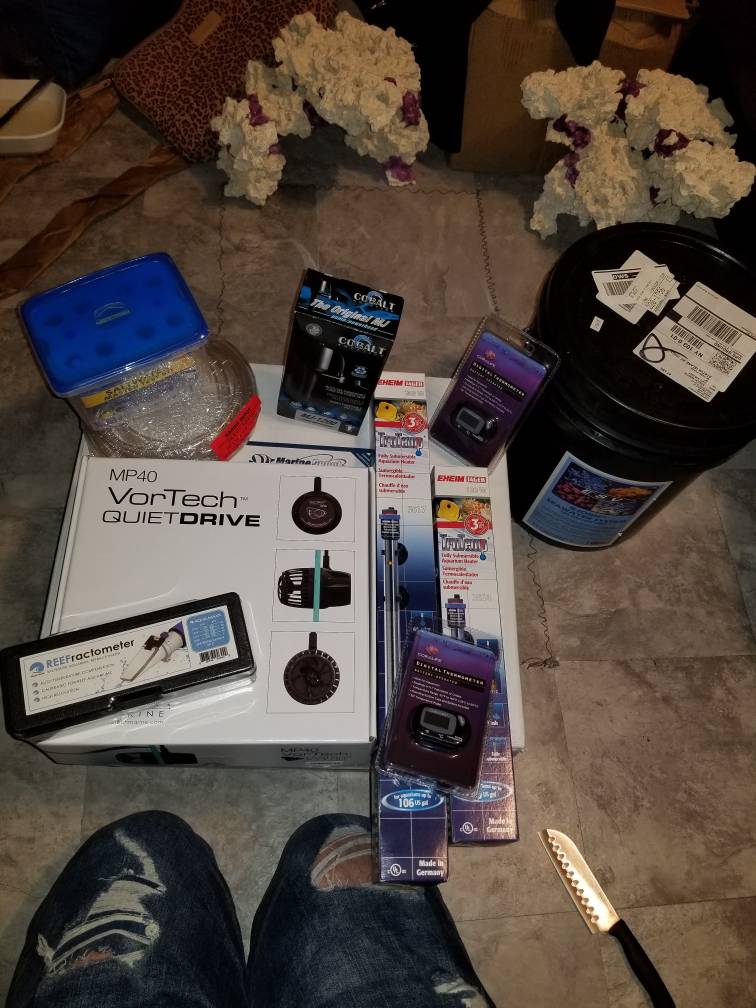 20190122_105524.jpeg