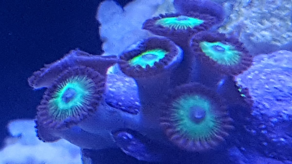 20190124_124019.jpg