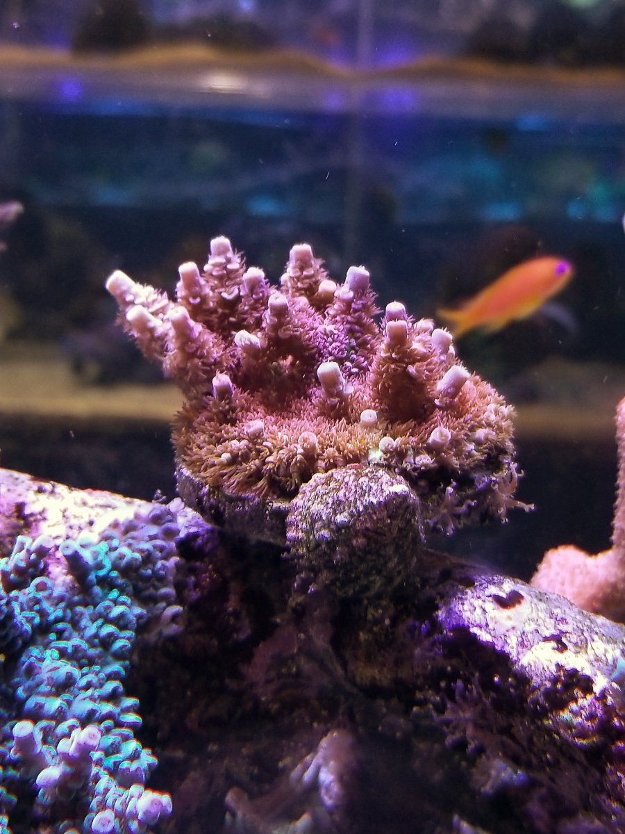 20190124_150456-01.jpeg