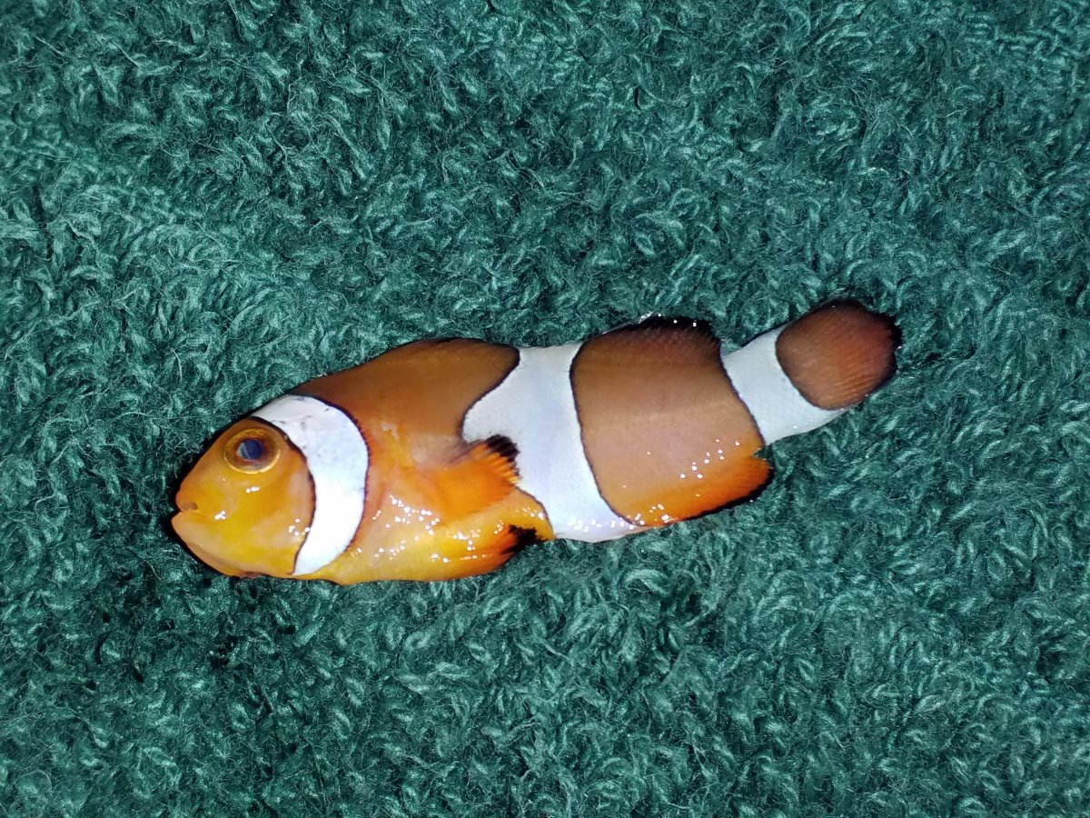 20190124_192128.jpg