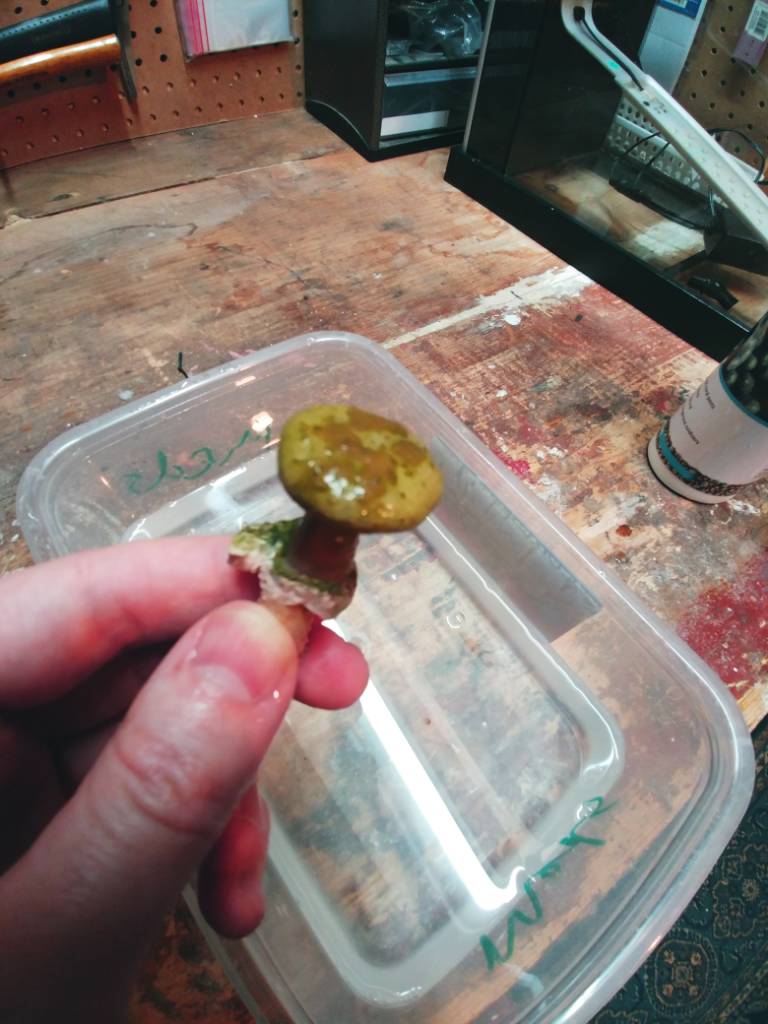 20190124_204845.jpeg