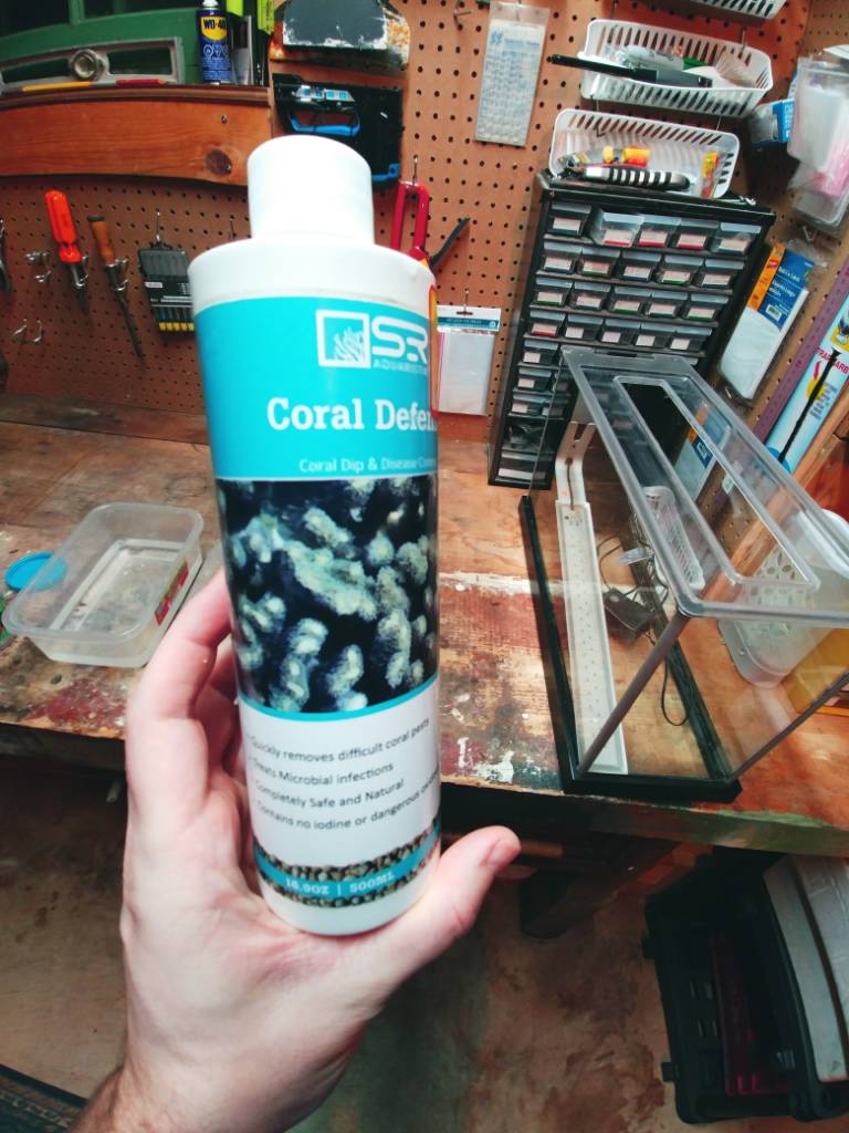 20190124_204931.jpeg