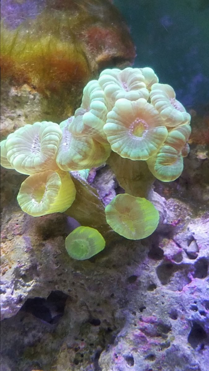 20190125_134751.jpg
