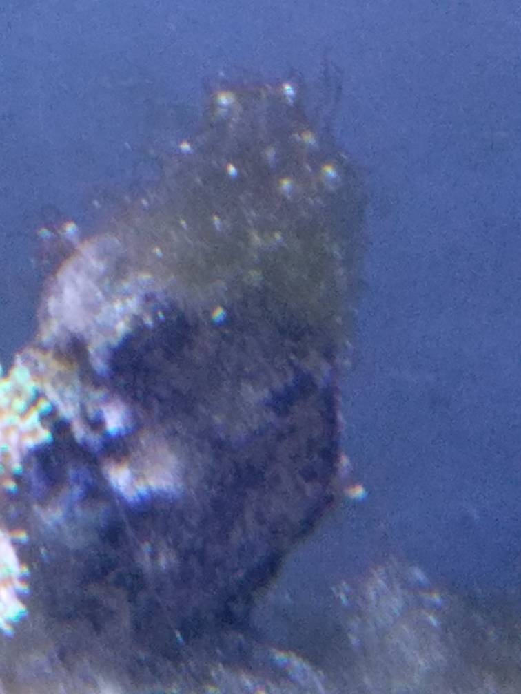 20190125_155855.jpeg