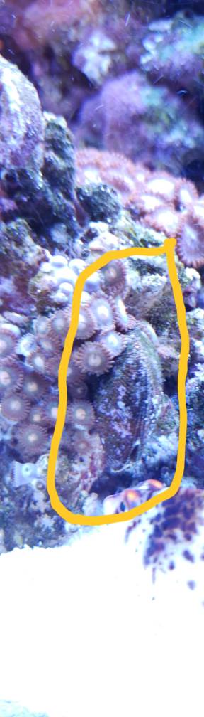 20190125_202945.jpeg