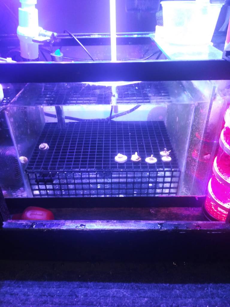 20190126_104507.jpeg