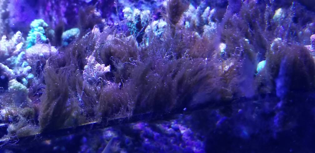 20190127_161353.jpeg