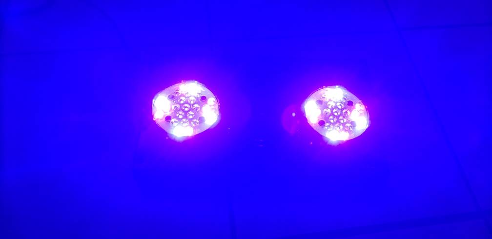 20190127_222436.jpeg