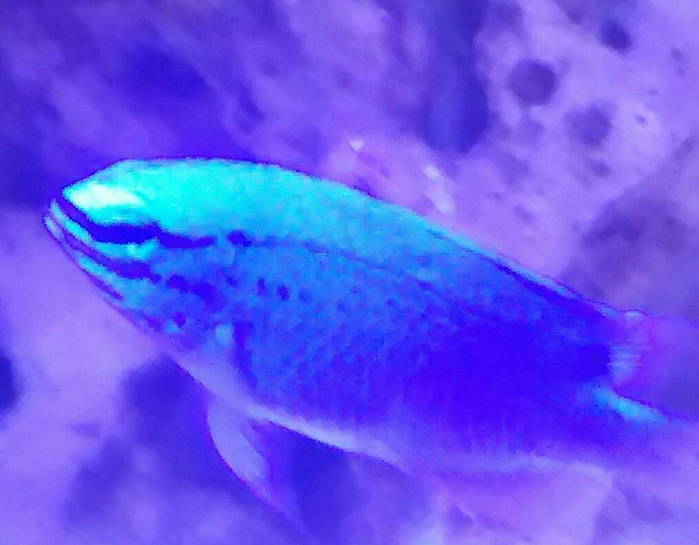 20190129_085117.jpeg