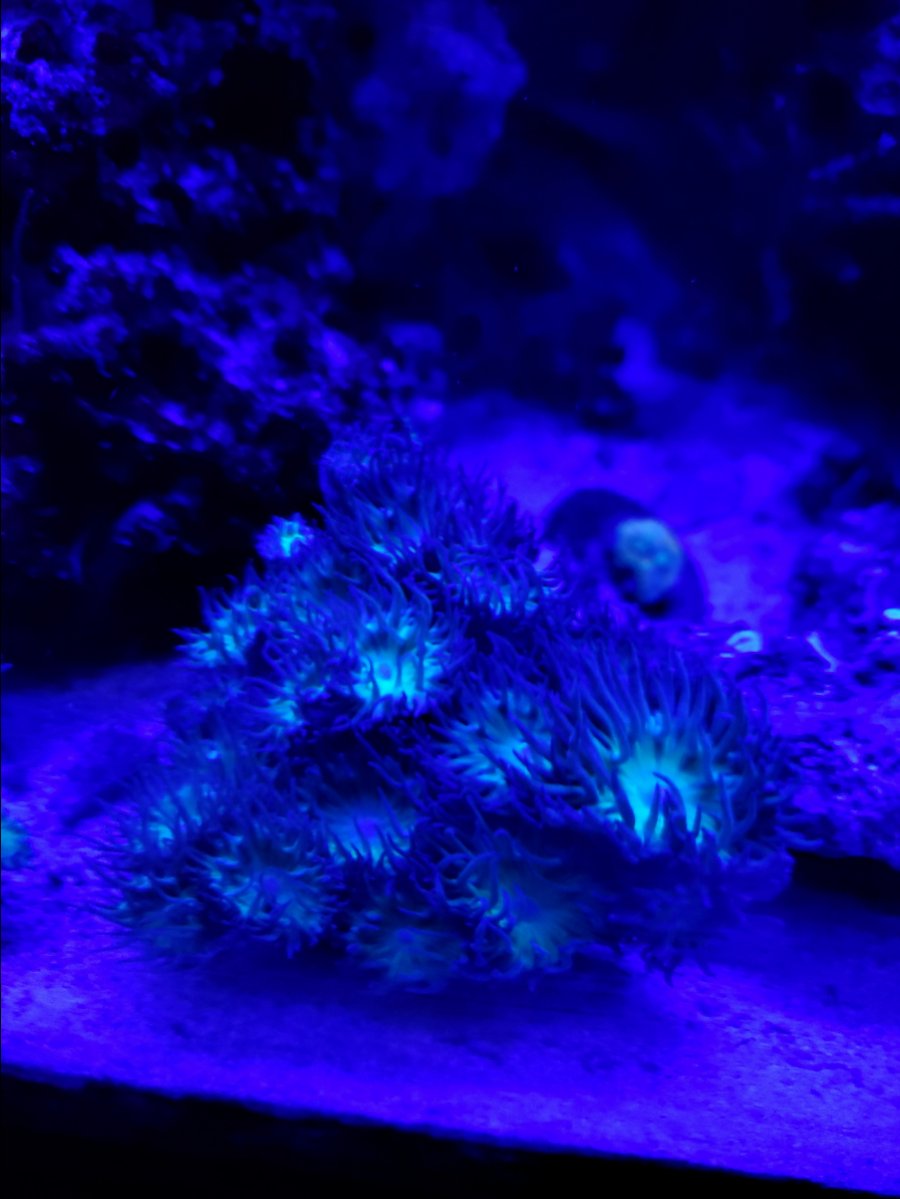20190129_115252.jpg