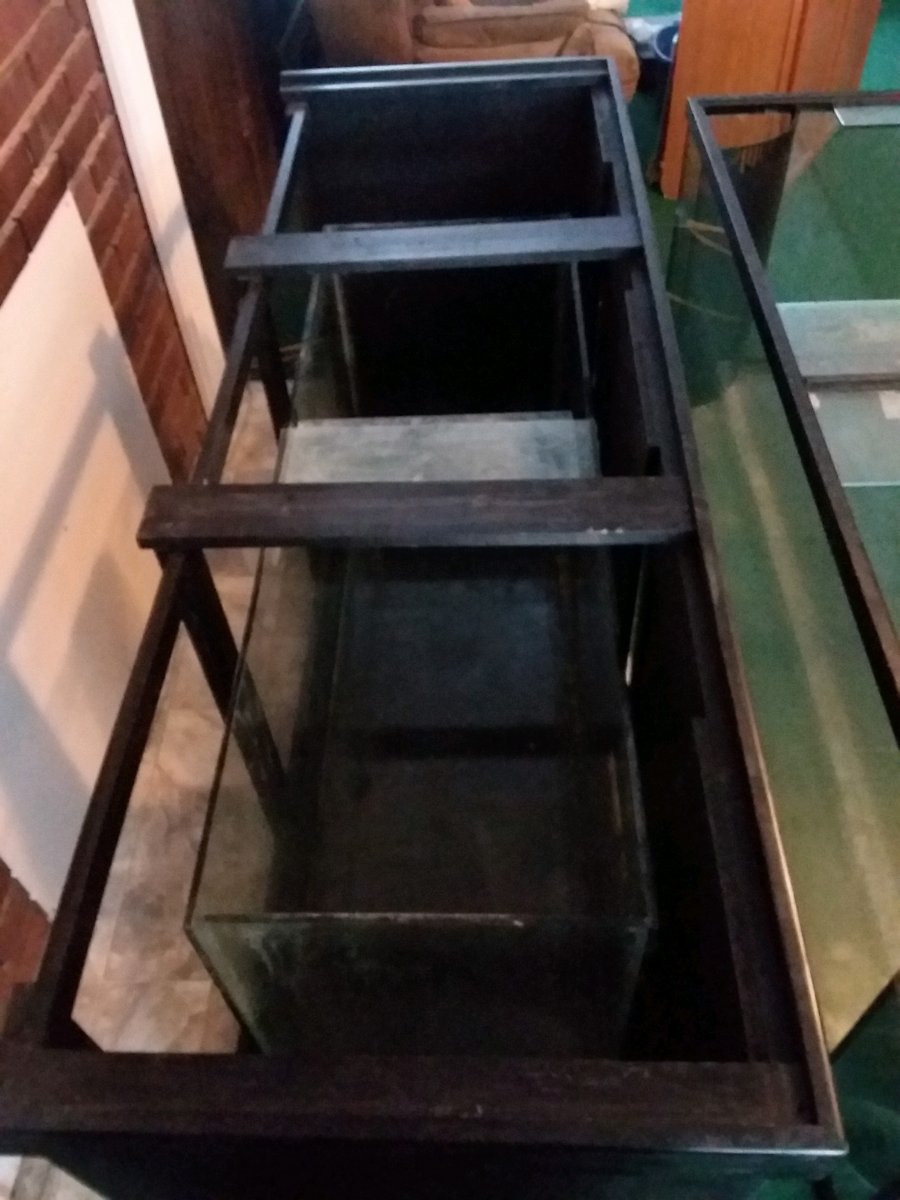 20190129_162156.jpg