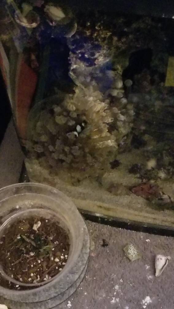 20190129_232839.jpeg