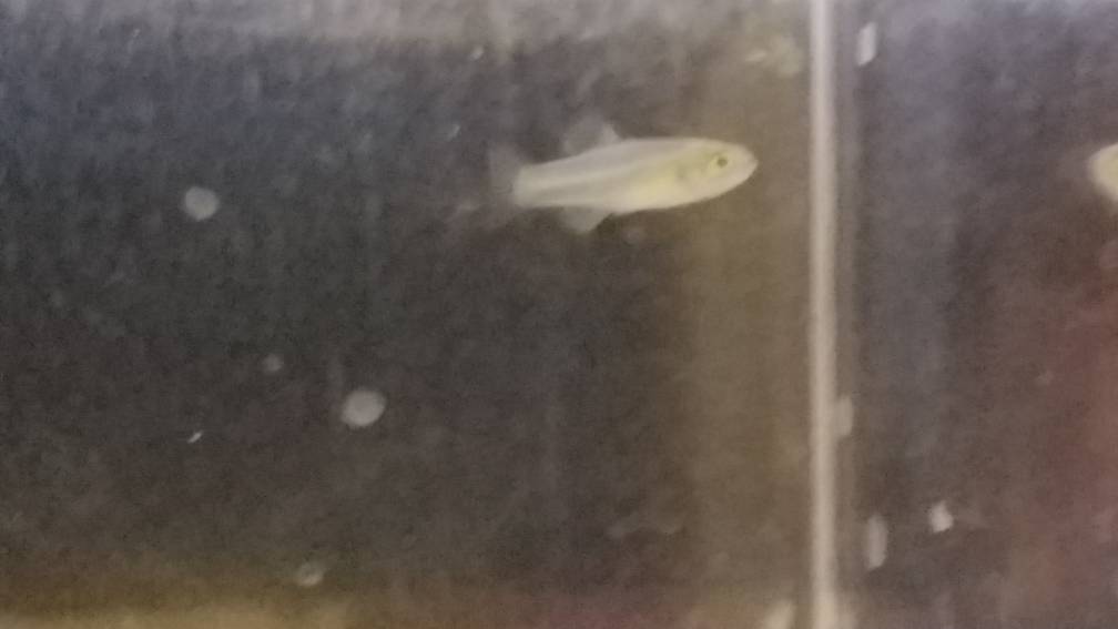 20190131_213132.jpeg