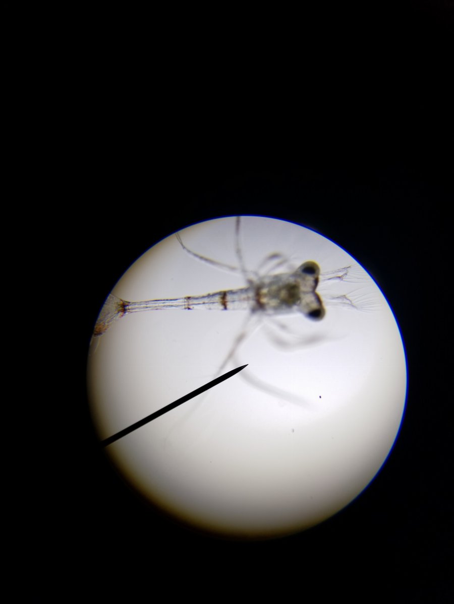 20190202_005151.jpg