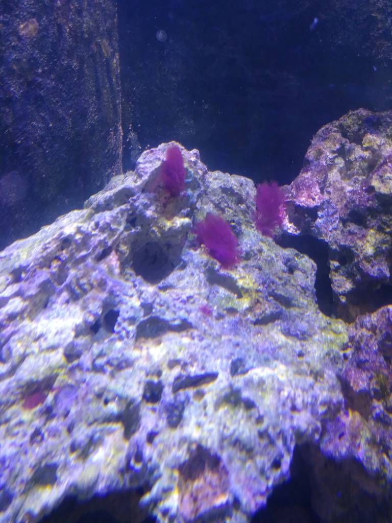 20190202_093442.jpeg