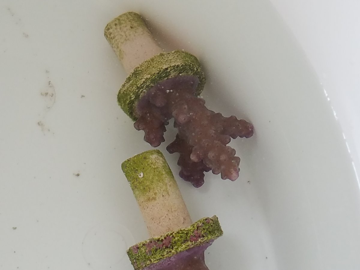 20190203_144910.jpg