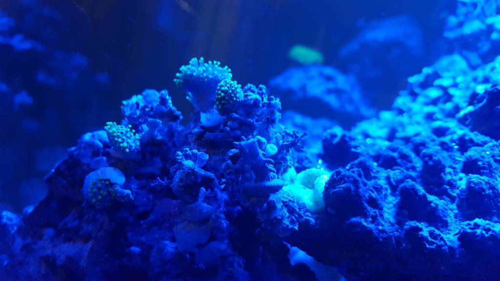 20190203_212919.jpeg