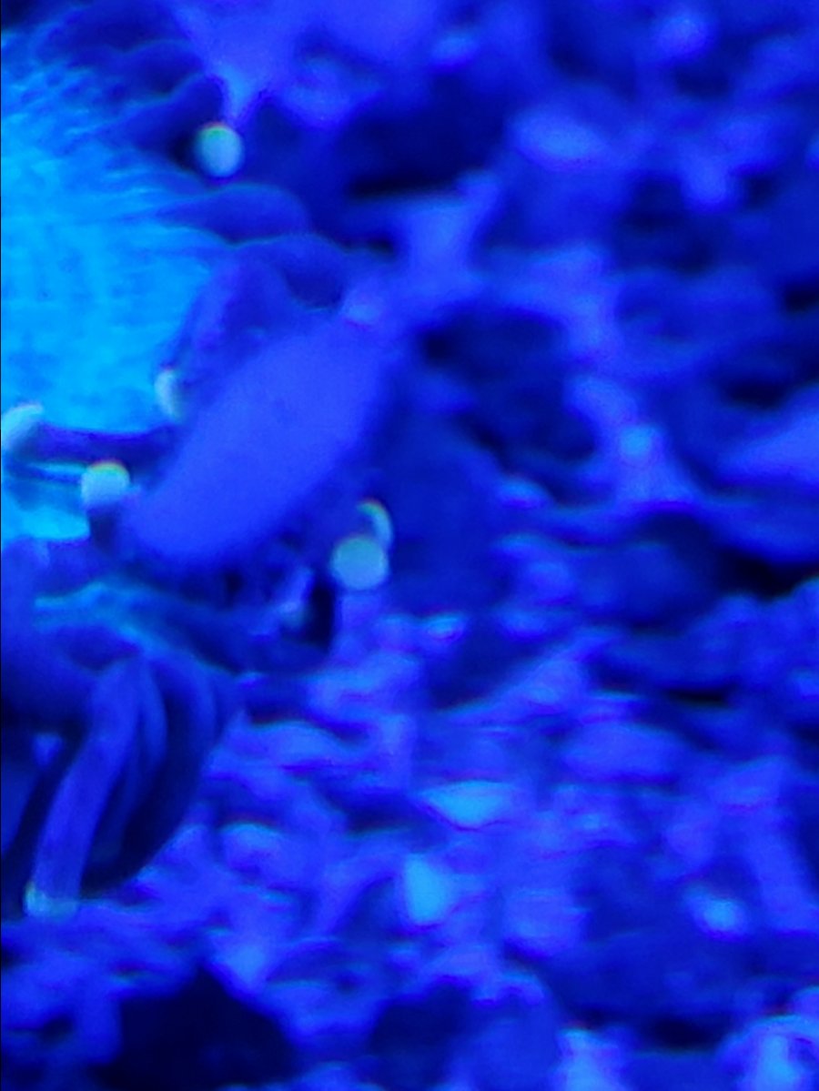 20190206_222712.jpg