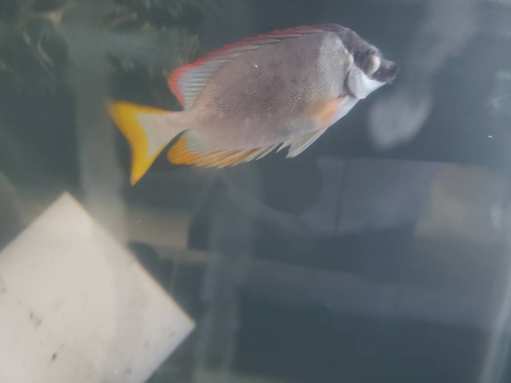 20190207_064346.jpeg
