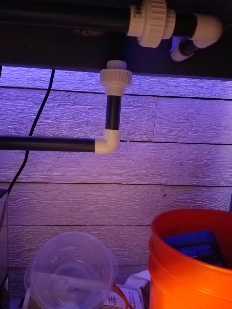 20190207_131146.jpeg