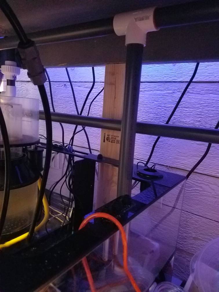 20190207_131151.jpeg