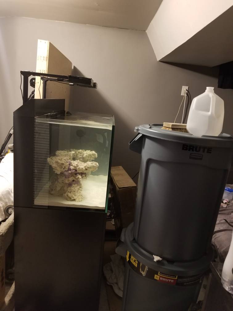 20190207_235451.jpeg
