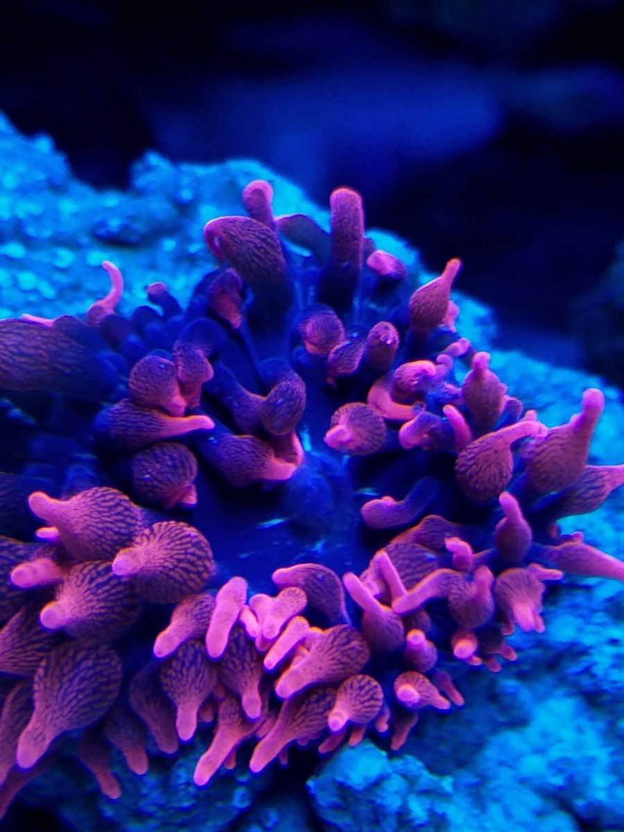 20190209_134243-01.jpeg