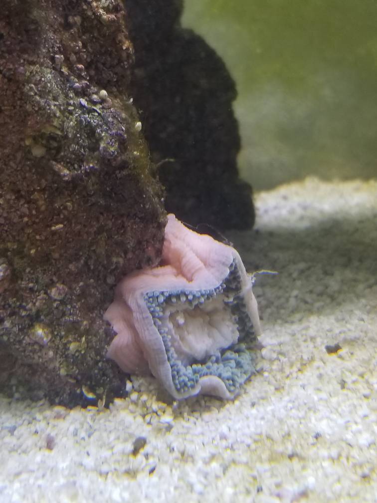 20190210_124821.jpeg