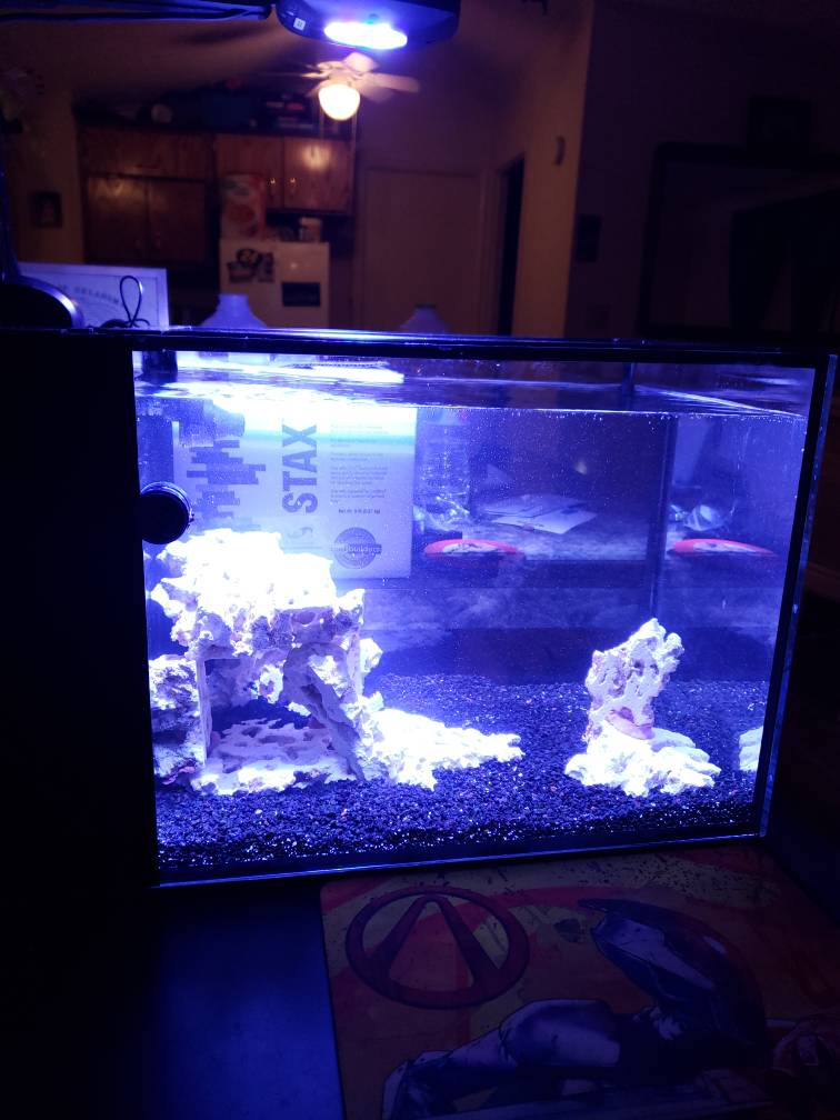 20190210_182941.jpeg