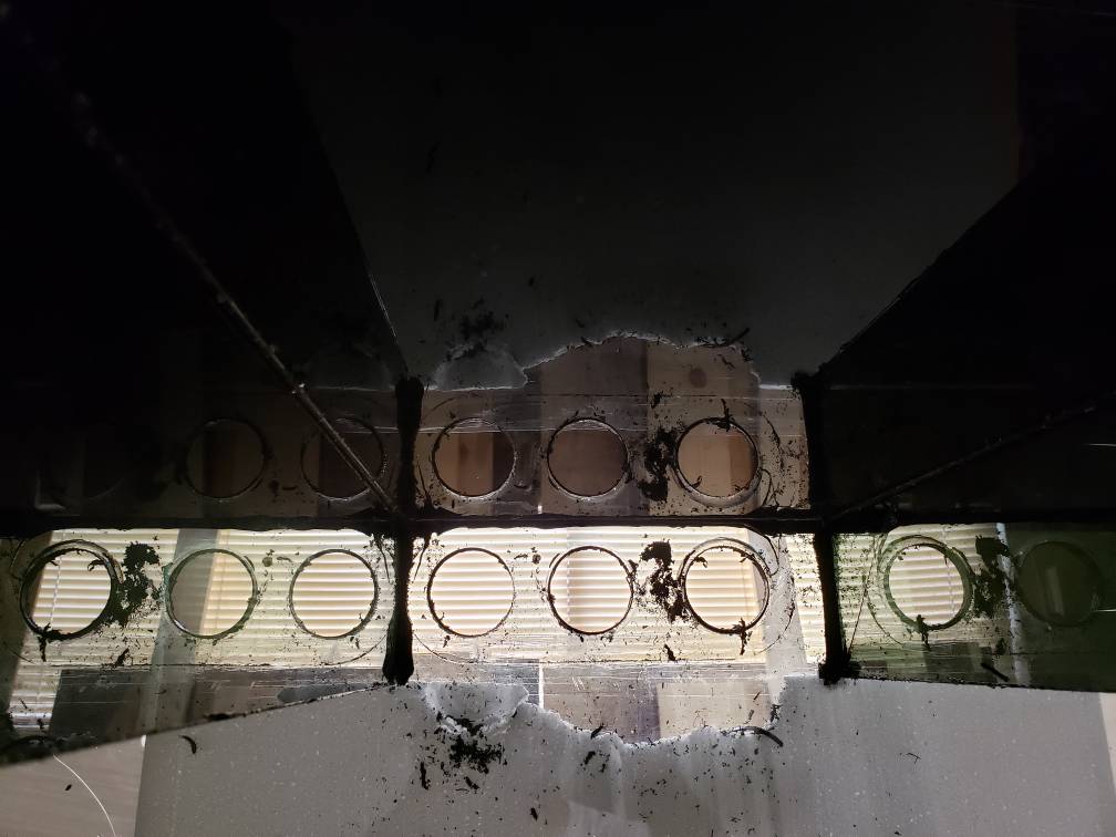 20190211_141220.jpeg